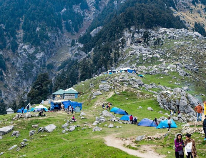Mclodganj triund Trek  